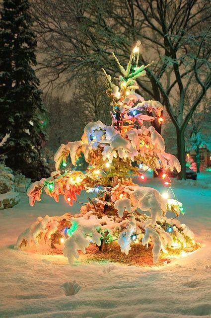 JenaC2's tweet photo. Hi everyone 😘 Just wanted to wish y’all happy holidays 🎄 It seems I can’t be here often for a health reason thou it’s not very serious. Miss y’all xx 🎄💓 #HappyHolidays2021 🎄 https://t.co/IkgjSx30SA