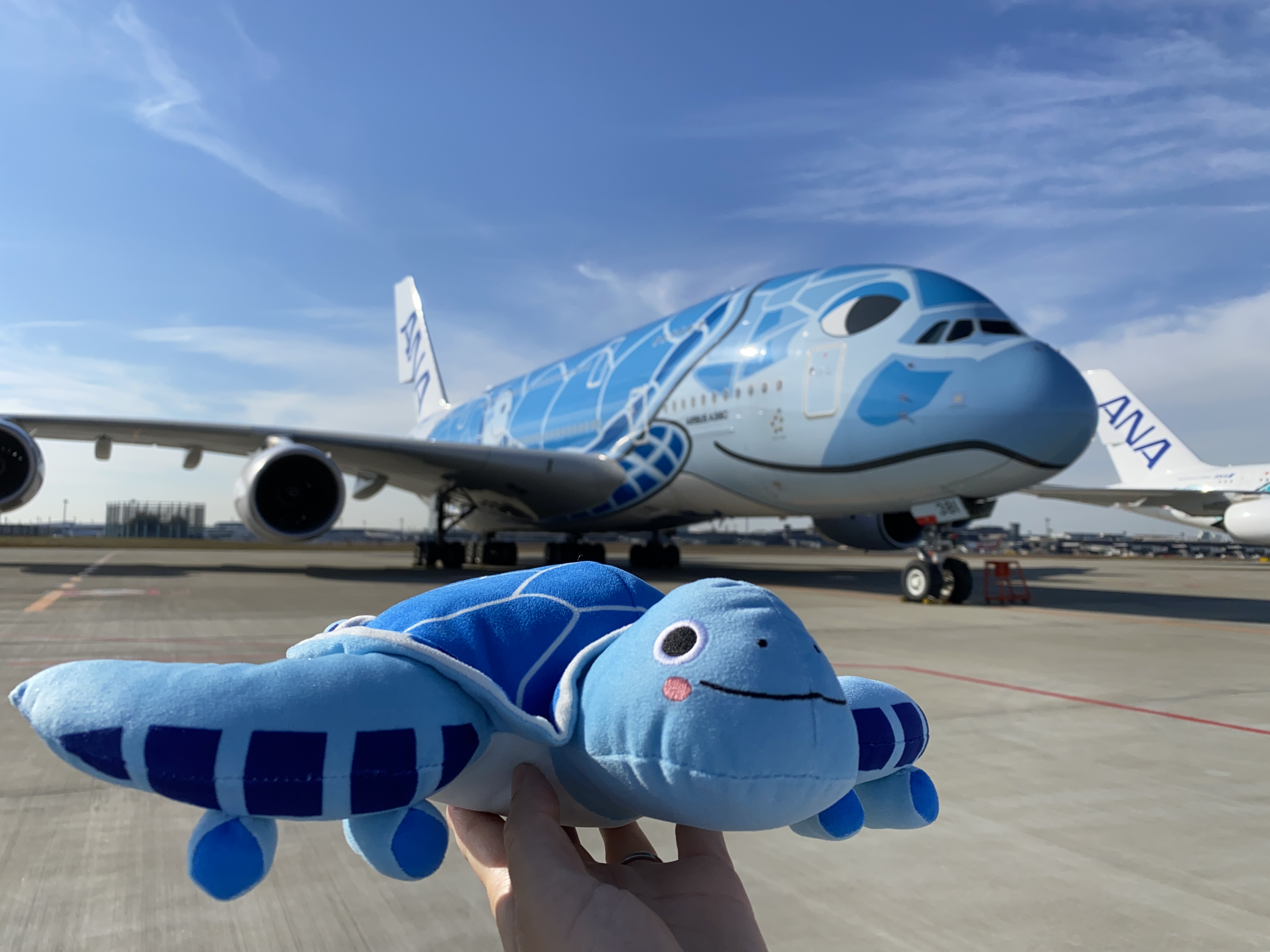 tatataフライングホヌ✕3機まとめ 1/350 20cm 非売品・新商品情報】1/500 A380 ANAフライングホヌ 3機セット