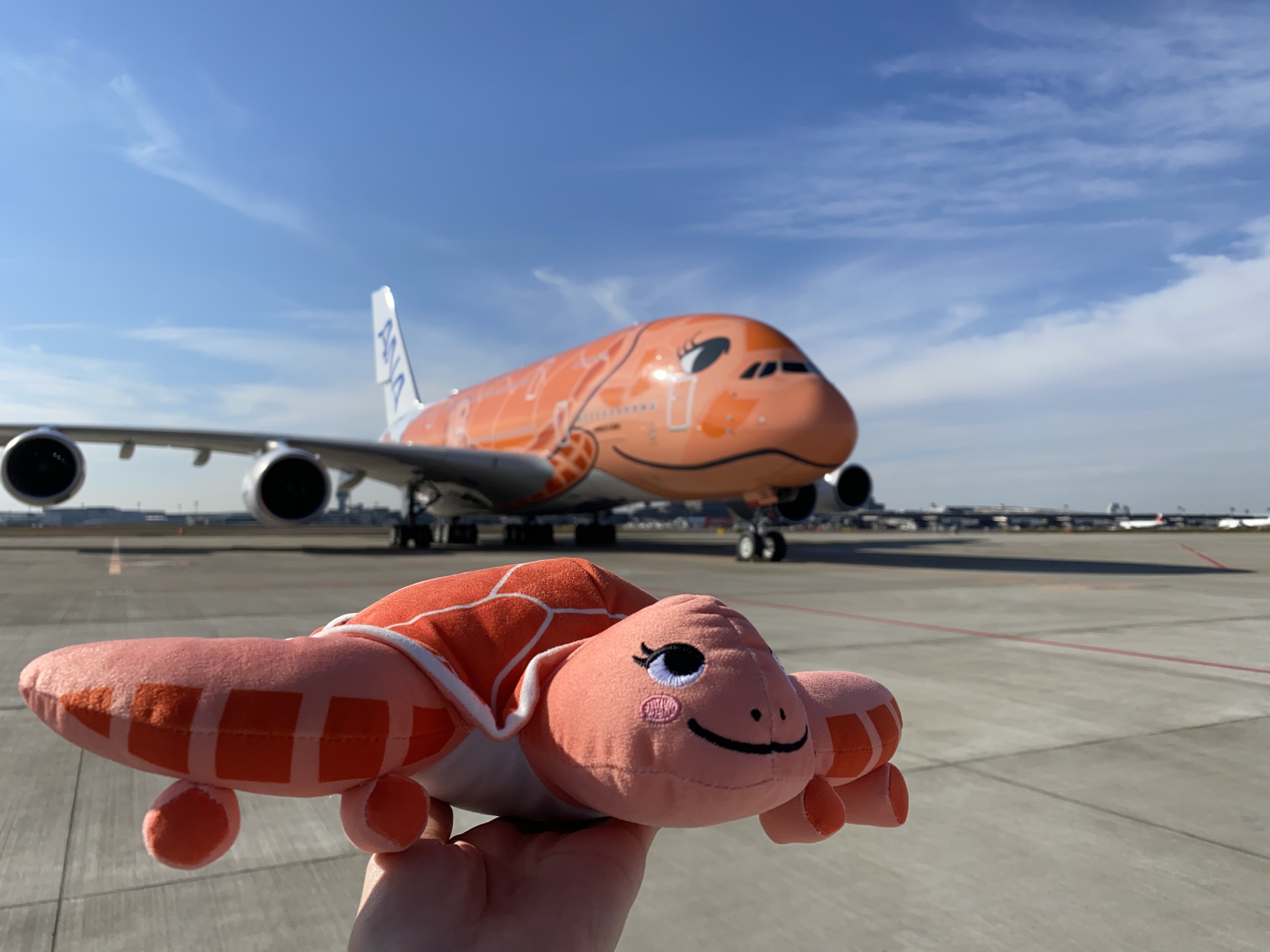 Yukiさんフライングホヌ✕3機まとめ9999 Yukiさんフライングホヌ✕3機まとめ9999 （ANA】重整備を終えて