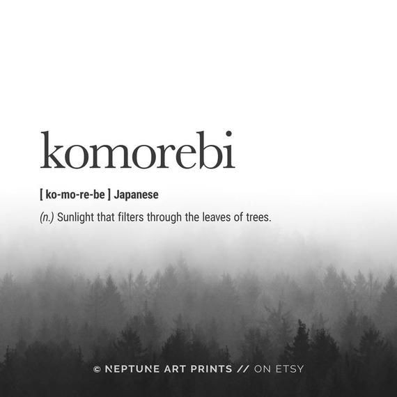 Summer__Phoenix's tweet photo. #Word | #ObscureWord | #RareWord https://t.co/lQLjoYtmEL