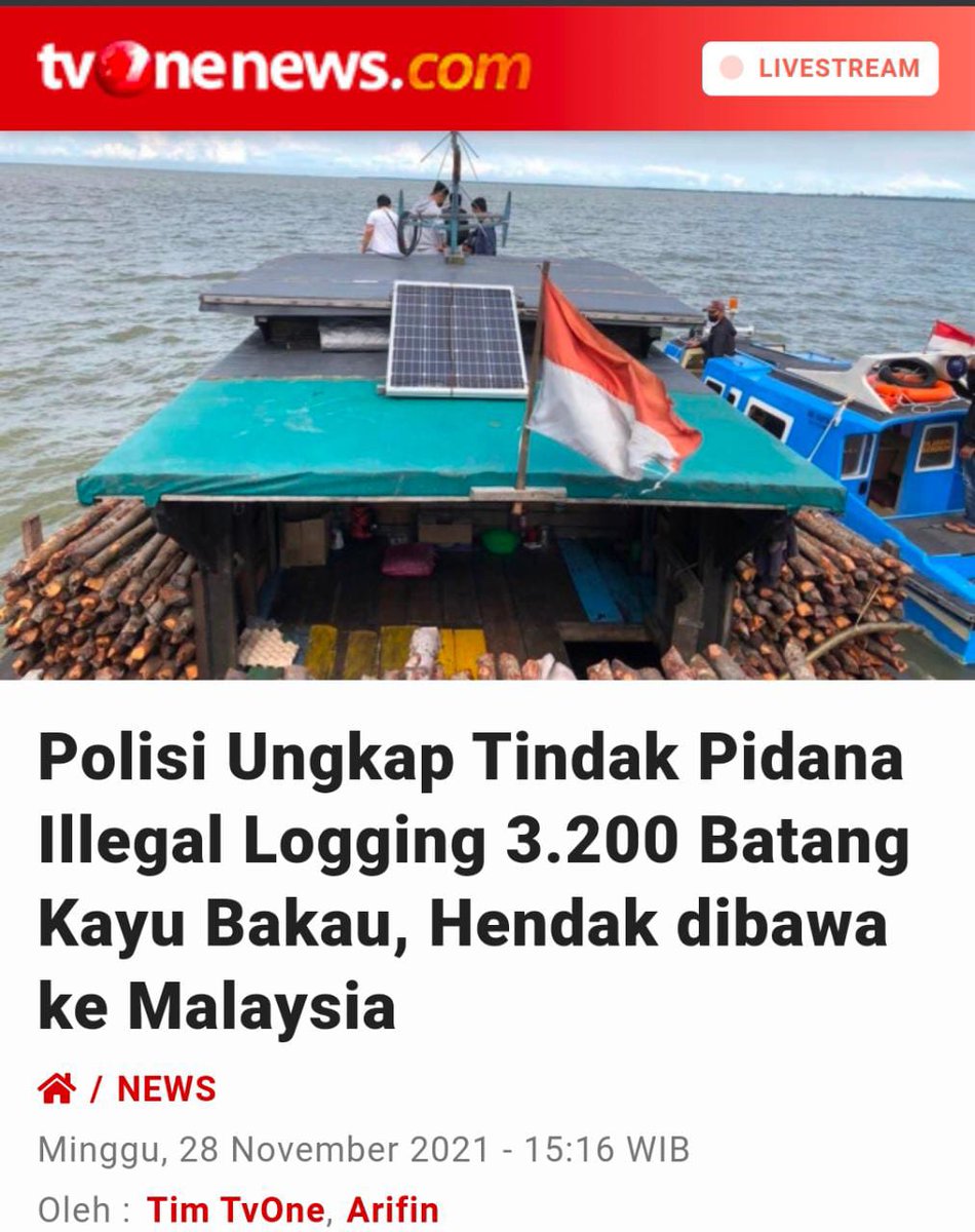 SPKTPOLDAJATENG's tweet photo. Kepulauan Meranti, Riau - Satuan Reserse Kriminal Polres Kepulauan Meranti berhasil mengungkap kasus tindak pidana illegal logging di perairan Desa Centai. 

#LangkahKongkretPolri
Menjaga Keamanan Negara https://t.co/zpUO1Kq5uf