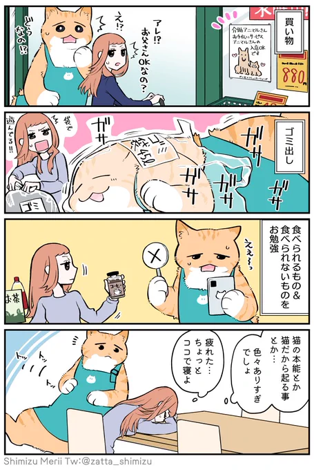 ヒロお疲れ様回です
(web版にはおまけ絵が付いてます🐱→https://t.co/VPj4KEaeWD )

【ブラック企業の社員が猫になって人生が変わった話 第4部】#ブラ猫 