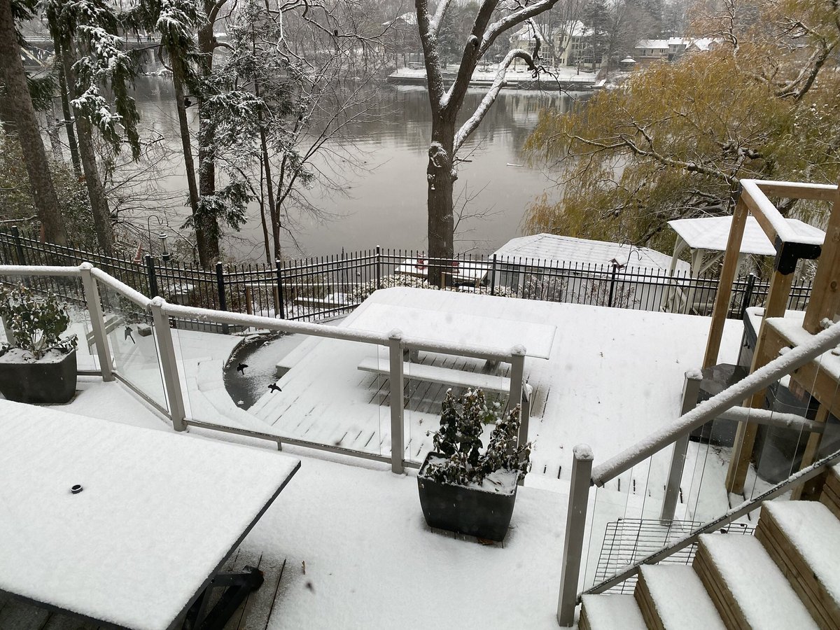 mspaziani1's tweet photo. @donnelly_b Suburban backyard https://t.co/WTeQEOKfU2