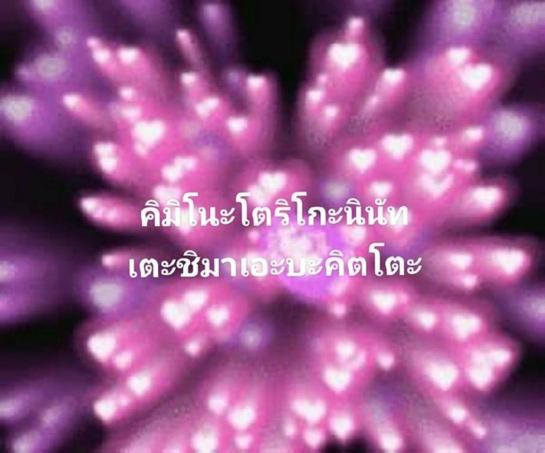 กุกวีคินิโมโต๊ะเว่อ