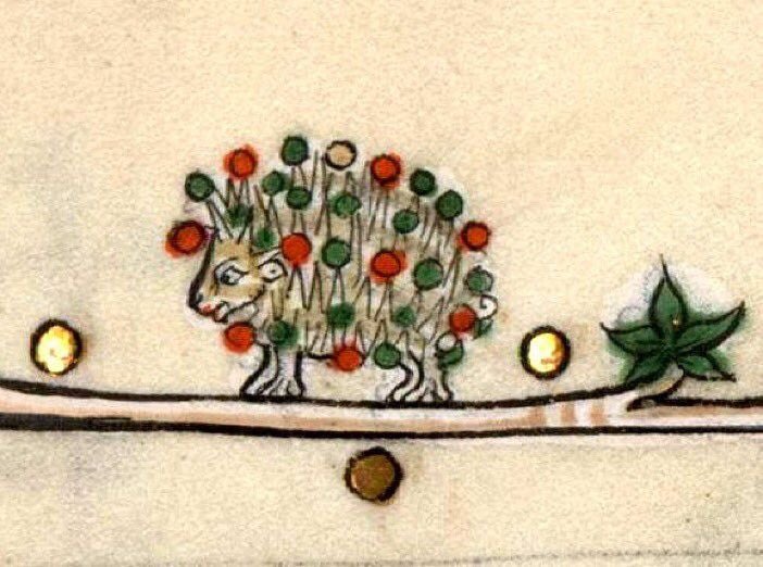 KenilworthBook's tweet photo. Medieval Hedgehog has got the Christmas decs out already. (with thanks to @kimedieval) https://t.co/QpkXM0Y6LR