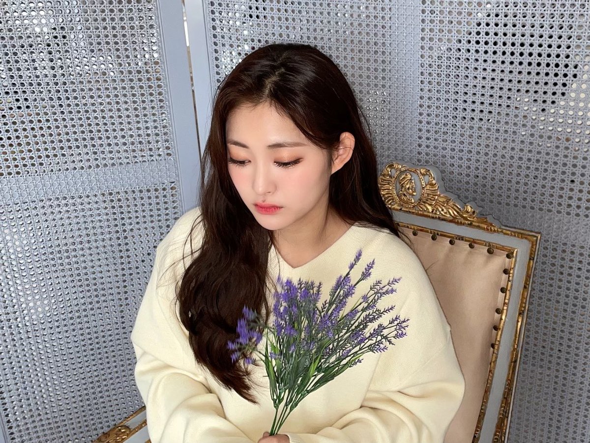 cignature_J9's tweet photo. 요새 많이 추운데 내가 따스히 안아줄게😊 < Sirius >

- 패니를 기다리고 기다렸는데 드디어 만나서 왕창 신난 세미가💙

#시그니처 #cignature #세미 #Semi https://t.co/A9Mte37qE4