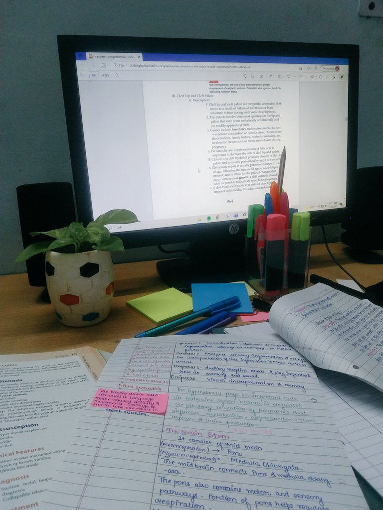 troublesince26's tweet photo. Study untill you make your self proud🍂 https://t.co/lkfVfvRZcN