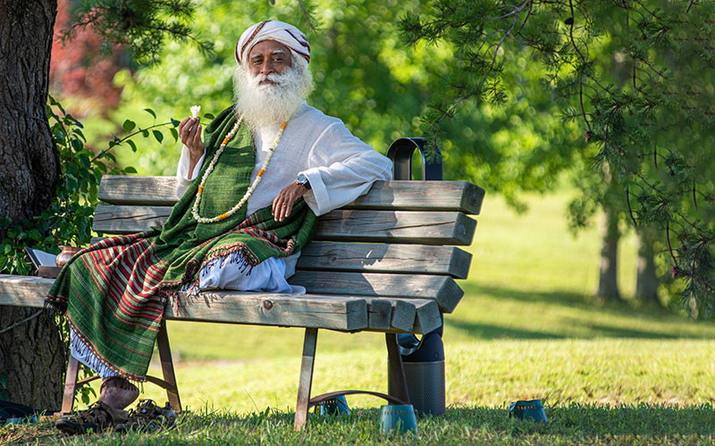 Joy comes and goes like breeze. Miseries stick in you like thorns – until you realize it is all your Making. #SadhguruQuotes