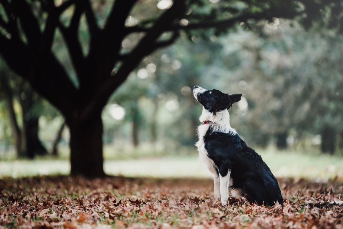 HOMEMAKERSFair's tweet image. Swopping the Grind for #Semigration doesn't seem so unreachable anymore. 
Read up on how you can make this happen for your family:
homemakersonline.co.za/magazine/johan…
Photo by @TheresiaDuvenage
#semigration #simplelife #workfromhome #Homemakers