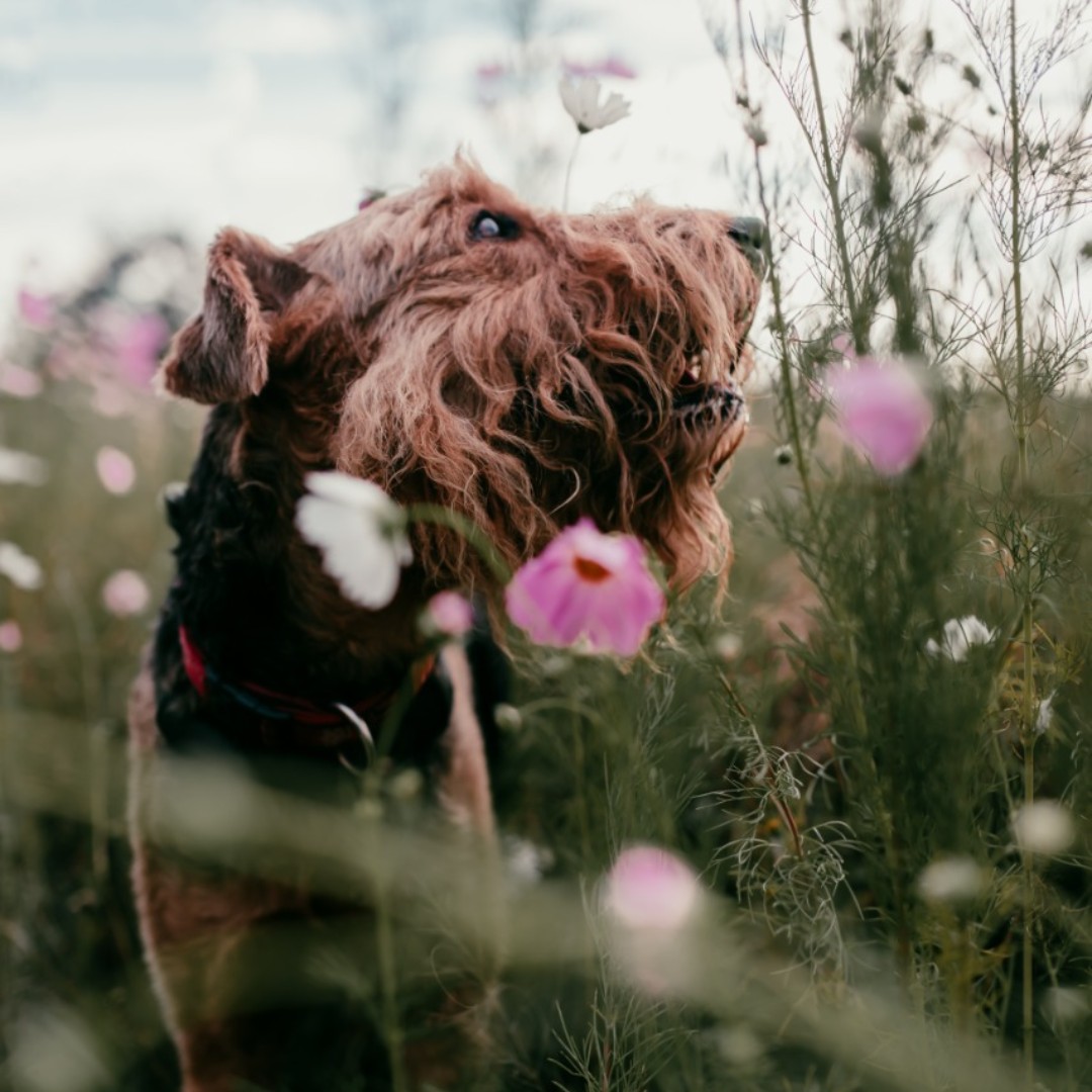 HOMEMAKERSFair's tweet image. Swopping the Grind for #Semigration doesn't seem so unreachable anymore. 
Read up on how you can make this happen for your family:
homemakersonline.co.za/magazine/johan…
Photo by @TheresiaDuvenage
#semigration #simplelife #workfromhome #Homemakers