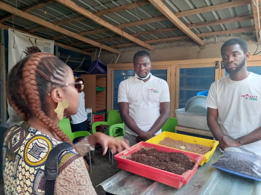 GoGettazAfrica's tweet photo. Amanda Namayi of Generation Africa shares, "I was in Accra recently and I am really proud to witness the amazing work GoGettaz are doing to transform Africa’s food systems. I was very excited to visit @prosect_feed at their farm in Medie, Ghana. Great work!”

@AGRAAlliance https://t.co/SIEtIJghlu