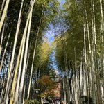 ツイートに含まれる画像