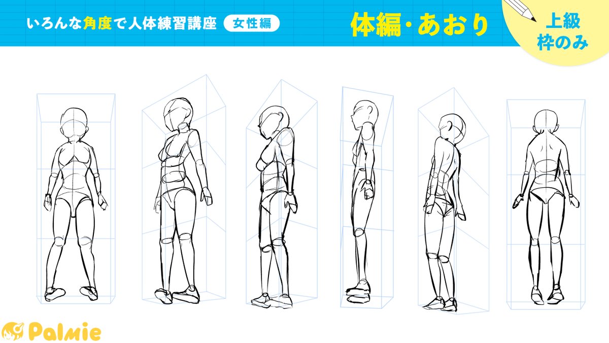 いろんな角度で人体練習講座(女性編)
頭編あおりも描いて、受講完了しました!
やる度に忘れていたあれやそれを思い出すから、これからも定期的にやろう… #パルミー
←2周目 3周目→ 
