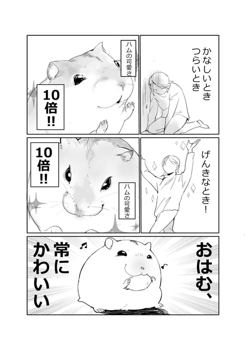 かなしいときはふわふわで、うれしいときはふわふわ
#ハムスター漫画 
