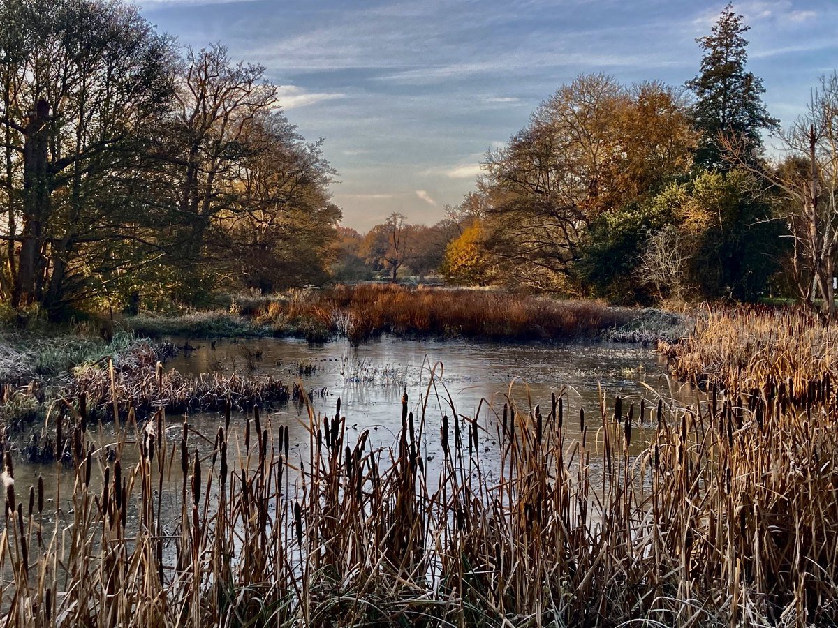 The moat ⁦<a href="/MichelhamPriory/">Michelham Priory</a>⁩ looking very Autumnal #sussexheritage #museum #garden