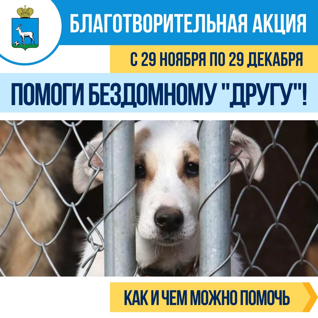 Благотворительная акция: «Помоги бездомному «другу»!»🐈🐕  
С 29 ноября по 29 декабря в Департаменте спорта и в подведомственных учреждениях физической культуры и спорта проходит сбор помощи самарским приютам для животных!➡️
 vk.com/wall-173437348…