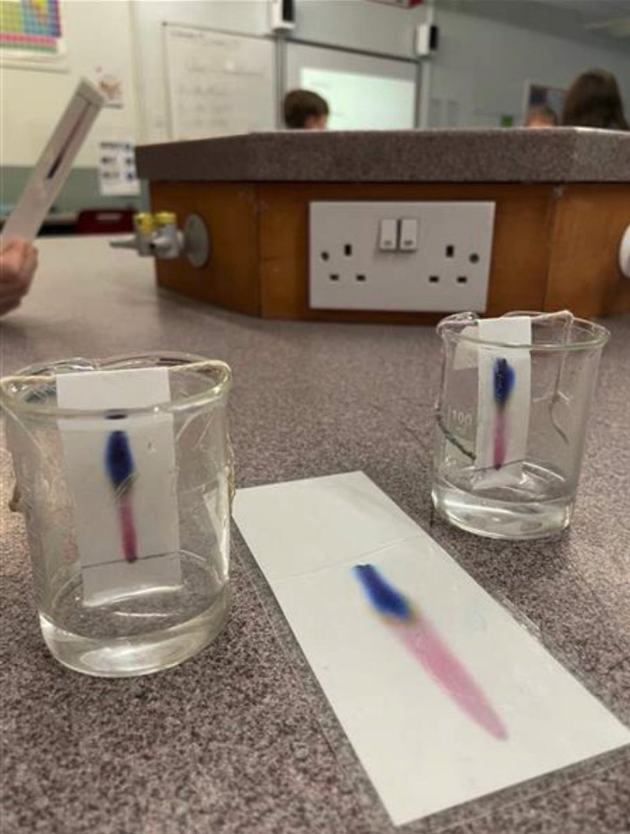 StsPnP_Science tweet media