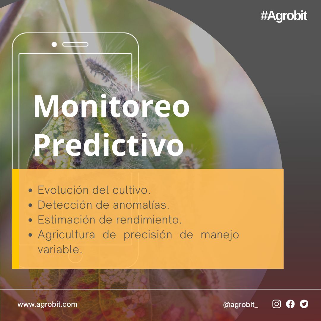 bitsasoluciones's tweet photo. #Agrobit

🟡 Con nuestra plataforma podrás monitorear predictivamente la evolución de todos tus cultivos, detectar anomalías, estimar el rendimiento con agricultura de precisión.

¡Experiméntalo!
https://t.co/cD70Gh1jwg https://t.co/eLmM9hD6ty