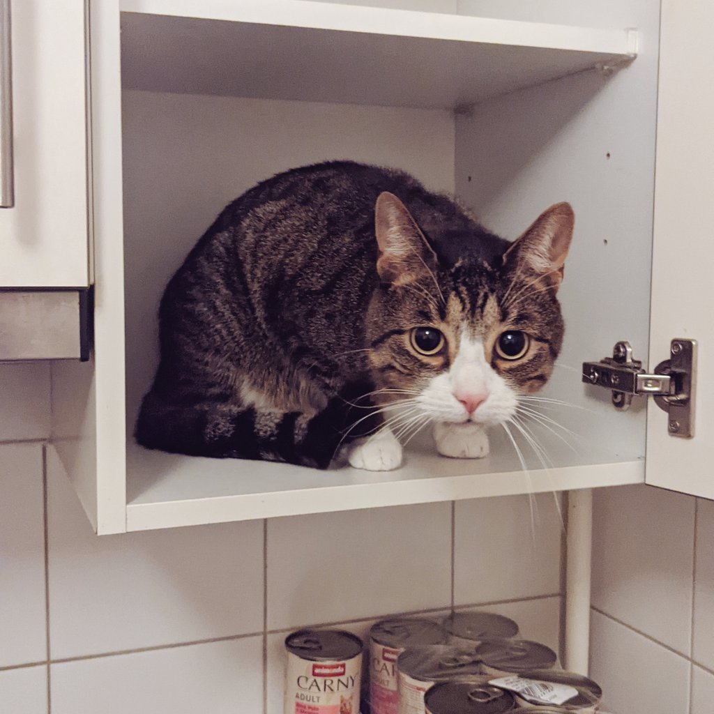 Nils Davis | ALLES WIRD HOOD tweet media