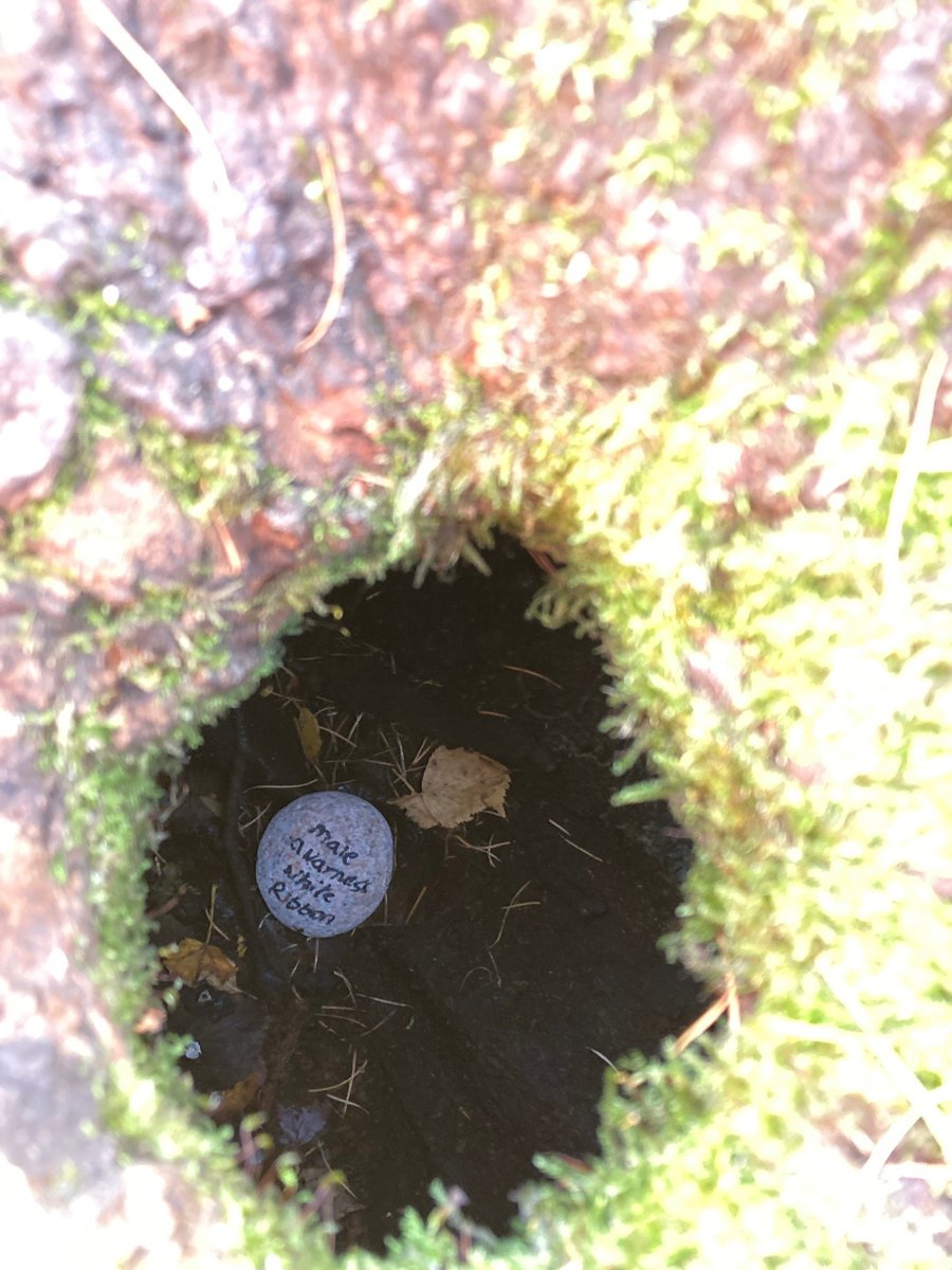 GoGirlsWales's tweet photo. White Ribbon Day 2021 – 25th November
The Brothers walk to bring awareness, discuss and support preventing violence against women. Pebbles with quotes, awareness messages and support were left around Cwmbran and talked to many people within the community to address this topic. https://t.co/SsjAdh2RzB