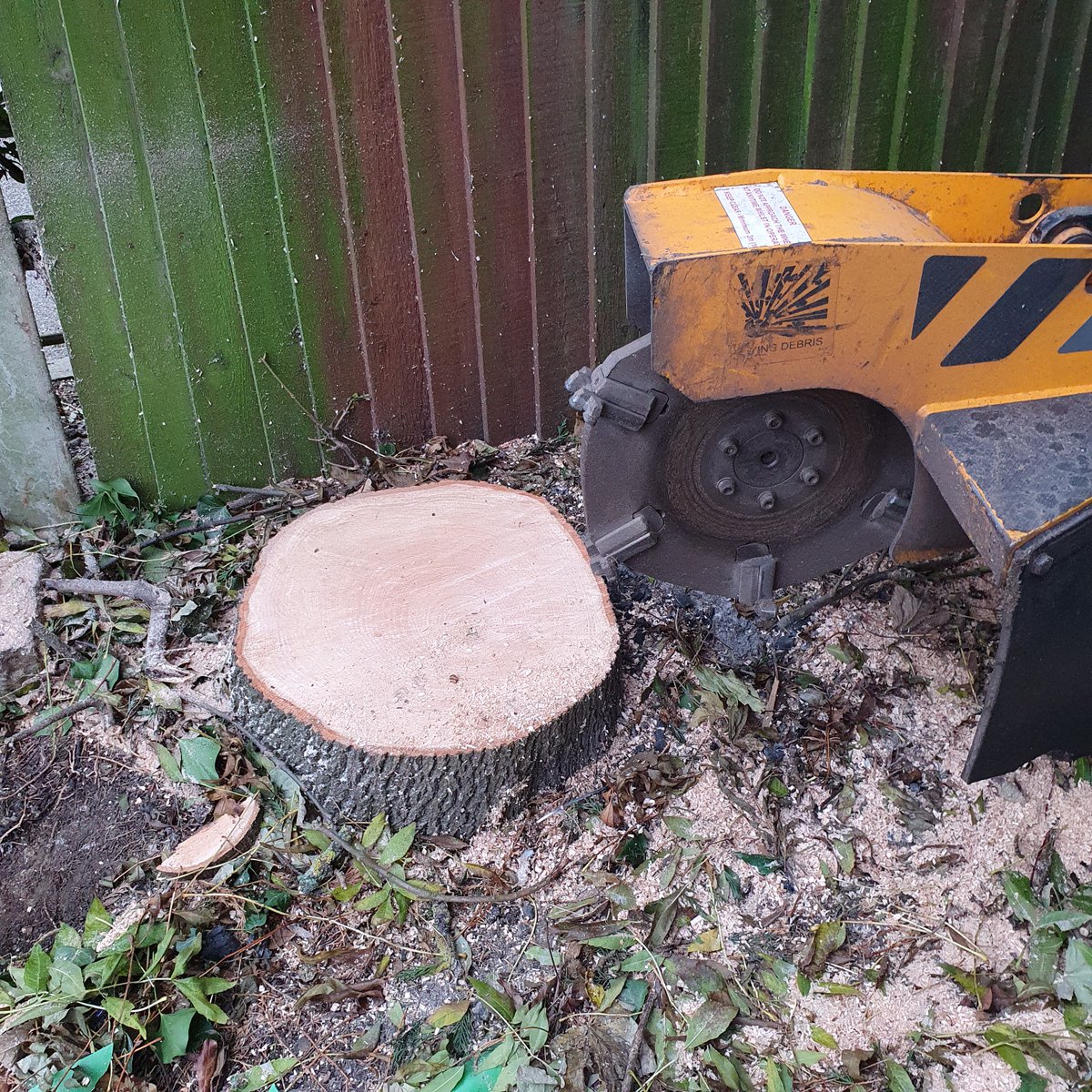 TreeGrinding's tweet photo. Tree stump grinding an ash tree stump in Great Waldringfield, near Sudbury, Suffolk. The tree stump was lifting the pathway up the other side of the fence, hence the removal. #Treestumpgrinding #treestumpremovals #GreatWaldringfield #Sudbury #treestumps #stumps #Suffolk https://t.co/r1wlIRg32I
