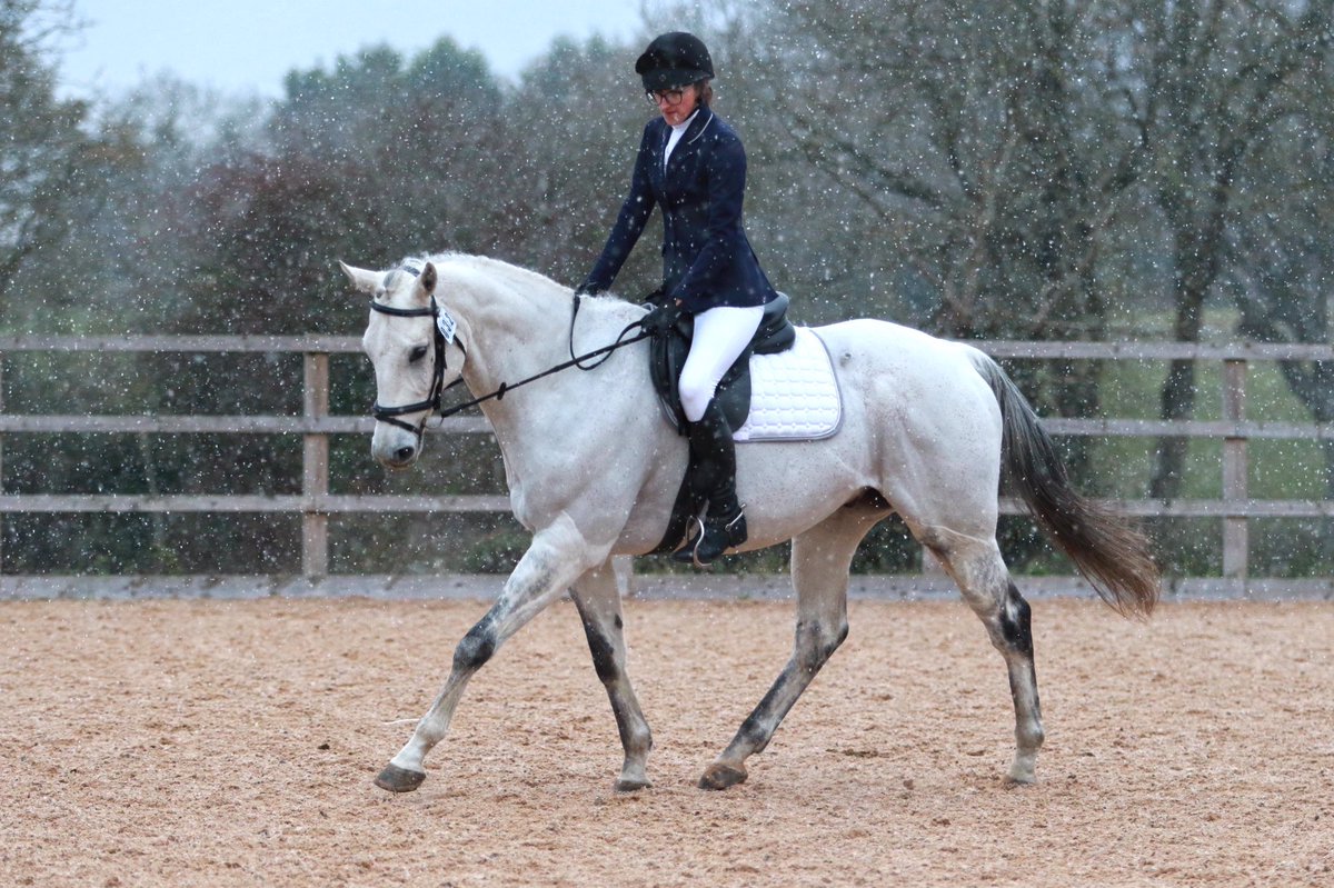 AmyNeave1's tweet photo. Monty wasn’t feeling it yesterday for our dressage test, but least I still got a pic of him looking pretty #exracer #dressage #equestrian https://t.co/Je1FkbfRLt