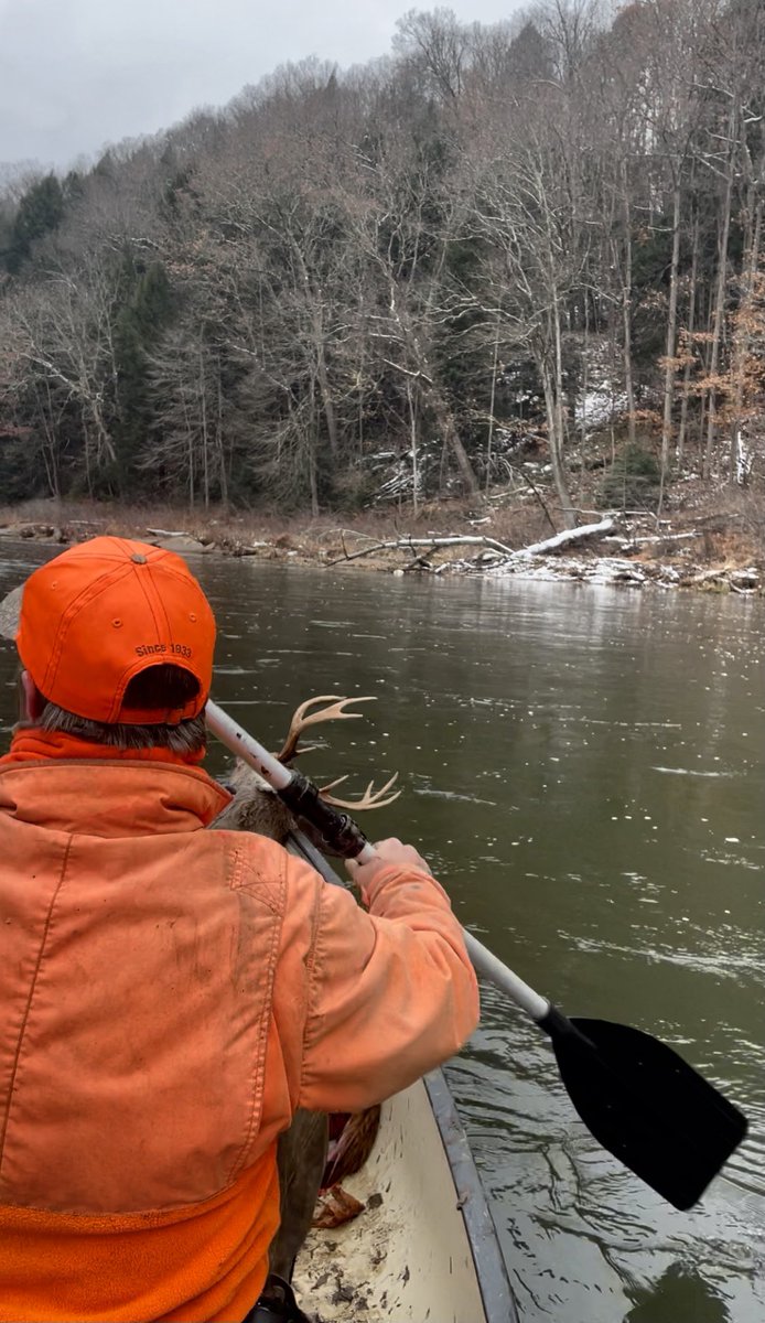 CornThicket's tweet photo. Picked one out across the river hiding in a mountain laurel field. First shot with the 300 WSM connected and second shot punched him in the face on the run. Had to break out the canoe to recover him. Great times. 🦌
- Howie https://t.co/ofU6yD7aOe
