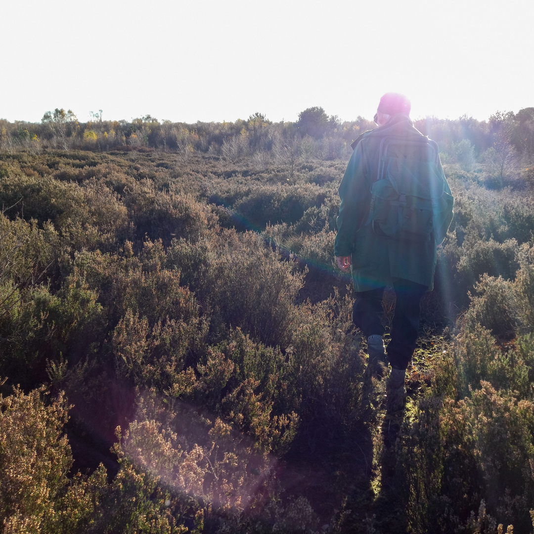 yuchenwang's tweet photo. Filming @DNCreates new commission #FullCircle curated by @mikestubbs for @DanumGLAM exploring Doncaster’s post-industrial landscape, where nature and technology collide #HatfieldColliery #slagheap #HumberheadPeatlands conservation rewetting #LindholmeOldMoor #SphagnumMoss https://t.co/Cd0PYy8b71