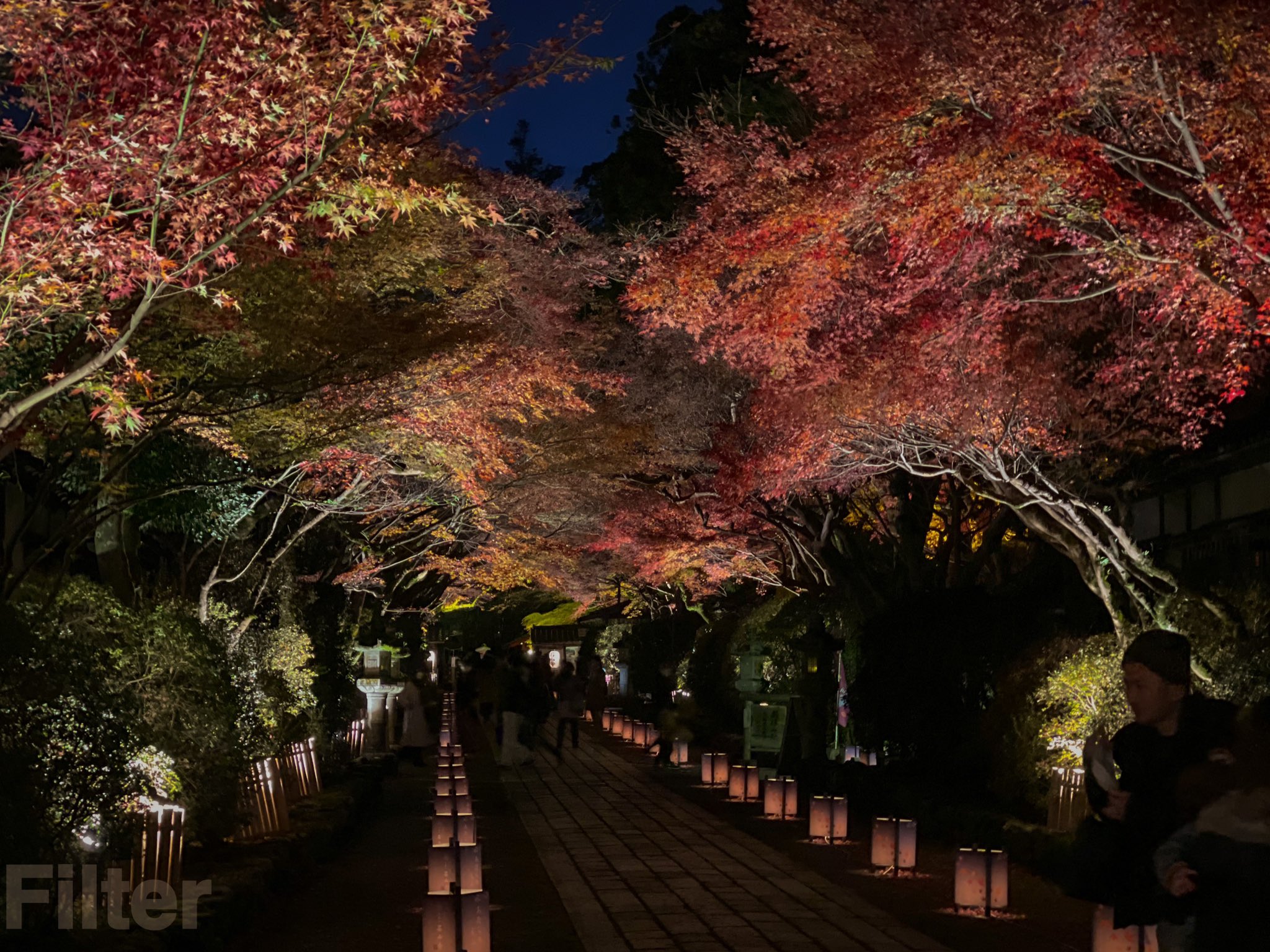 Filter 昨夜は釣りの途中で石山寺の紅葉ライトアップ最終日を覗きに行きましたが最高ですね 紅葉狩りの後は久々のトビキチのお散歩です 60ちょい足らずのデカイのが来ました スッキリですね 石山寺 紅葉狩り トビキチ トビキチ散歩 T Co