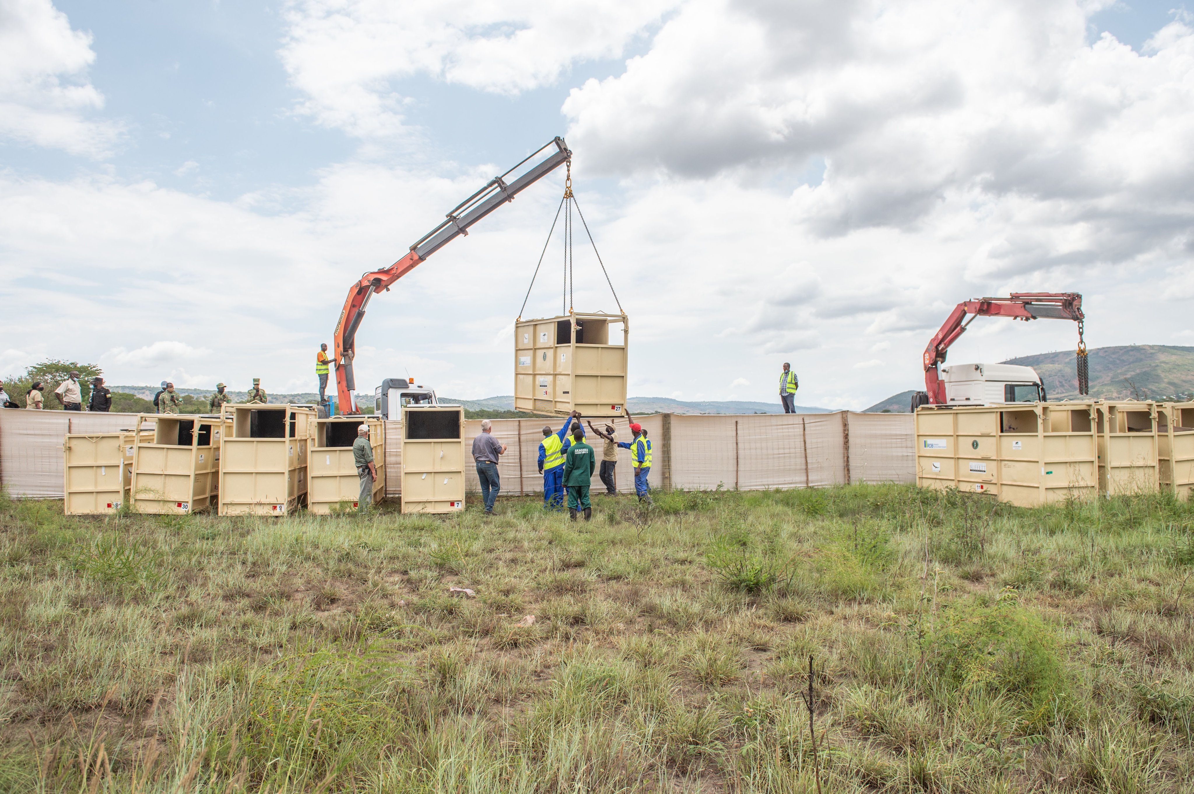 Rhino crates offloaded in Akagera © Gael Vande Weghe & African Parks