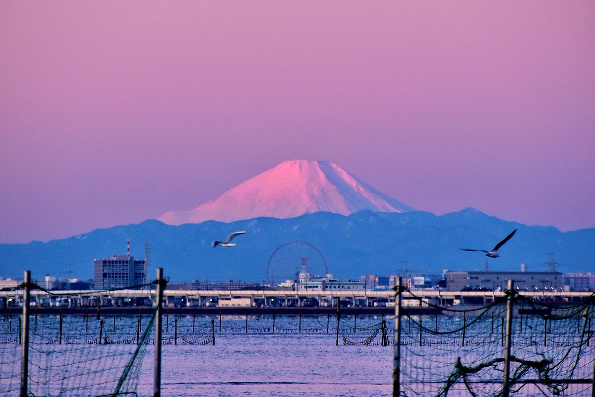 何と！NHKで私が撮影した三番瀬の写真3枚が放映されます✨ ①12/5 13:05～「たっぷり関東NHK」(関東のみ) ②12/13(月)11:05〜「ひるまえほっと」(関東甲信越) 今回は間