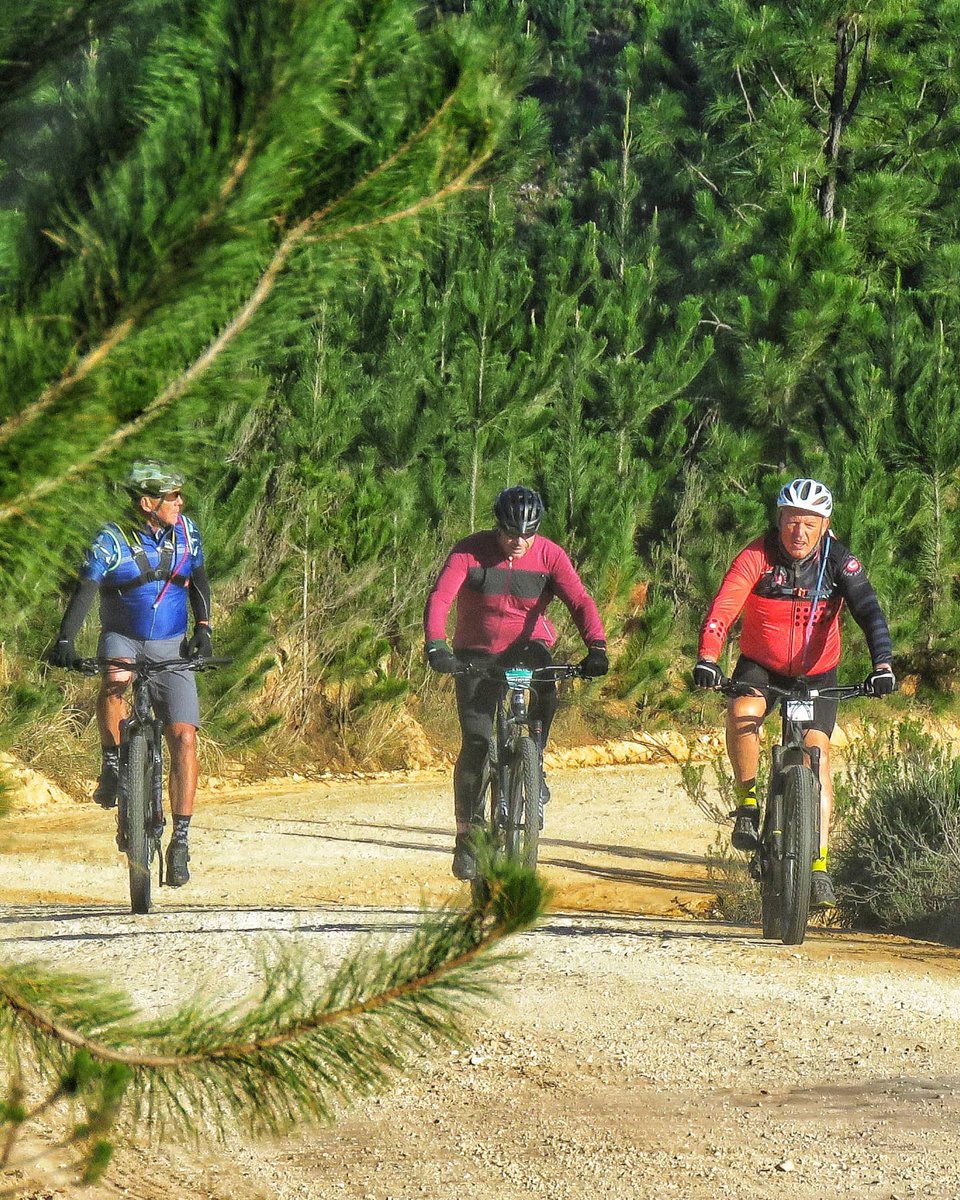 Explore Knysna tweet media