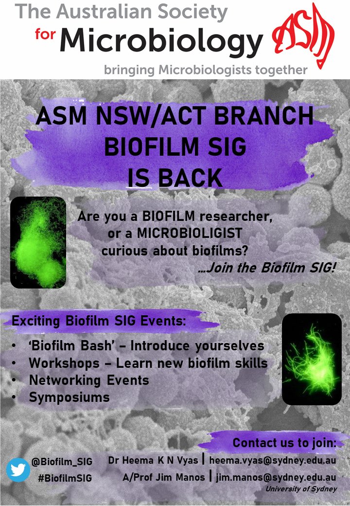 The rumours are true…
The @ASM_NSWACT @AUSSOCMIC Biofilm SIG is BACK!

So let’s make like a biofilm and stick together !!!

Please contact either Dr Heema Vyas (@HKNVee) or A/Prof Jim Manos to join the #BiofilmSIG 🧫✨