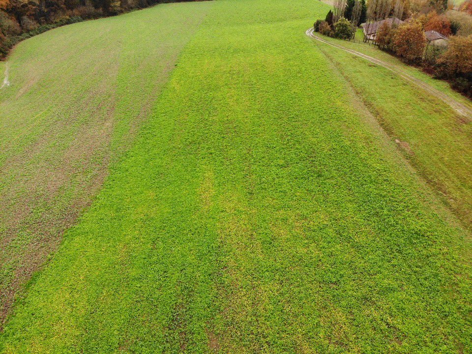 BonaHoun640's tweet image. 2 mois après les semis des #couvertsvégétaux , l’hiver 🌧 est arrivé.
Heureusement que 100 % de la ferme est couverte 🍀
On distingue toujours une hétérogénéité suivant les précédents :
1. 🌻
2. 🌽
3. 🌱 couvert estival
#ACS #COP26 #nitrates #eau #carbone