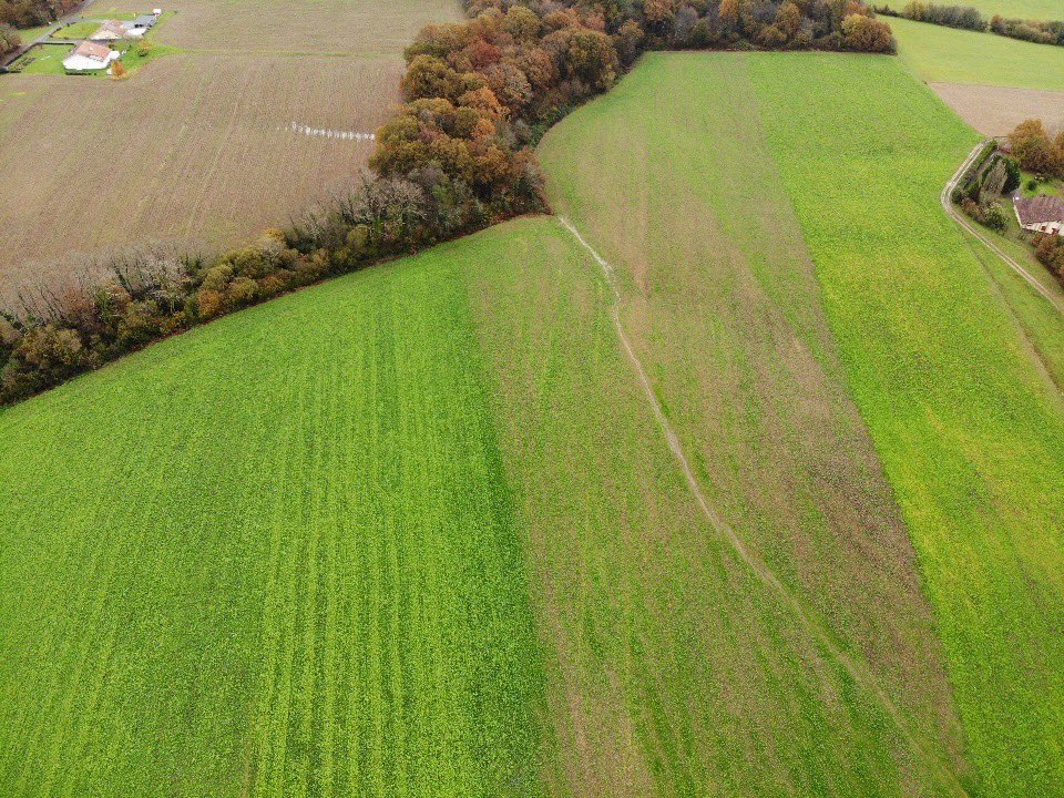 BonaHoun640's tweet image. 2 mois après les semis des #couvertsvégétaux , l’hiver 🌧 est arrivé.
Heureusement que 100 % de la ferme est couverte 🍀
On distingue toujours une hétérogénéité suivant les précédents :
1. 🌻
2. 🌽
3. 🌱 couvert estival
#ACS #COP26 #nitrates #eau #carbone