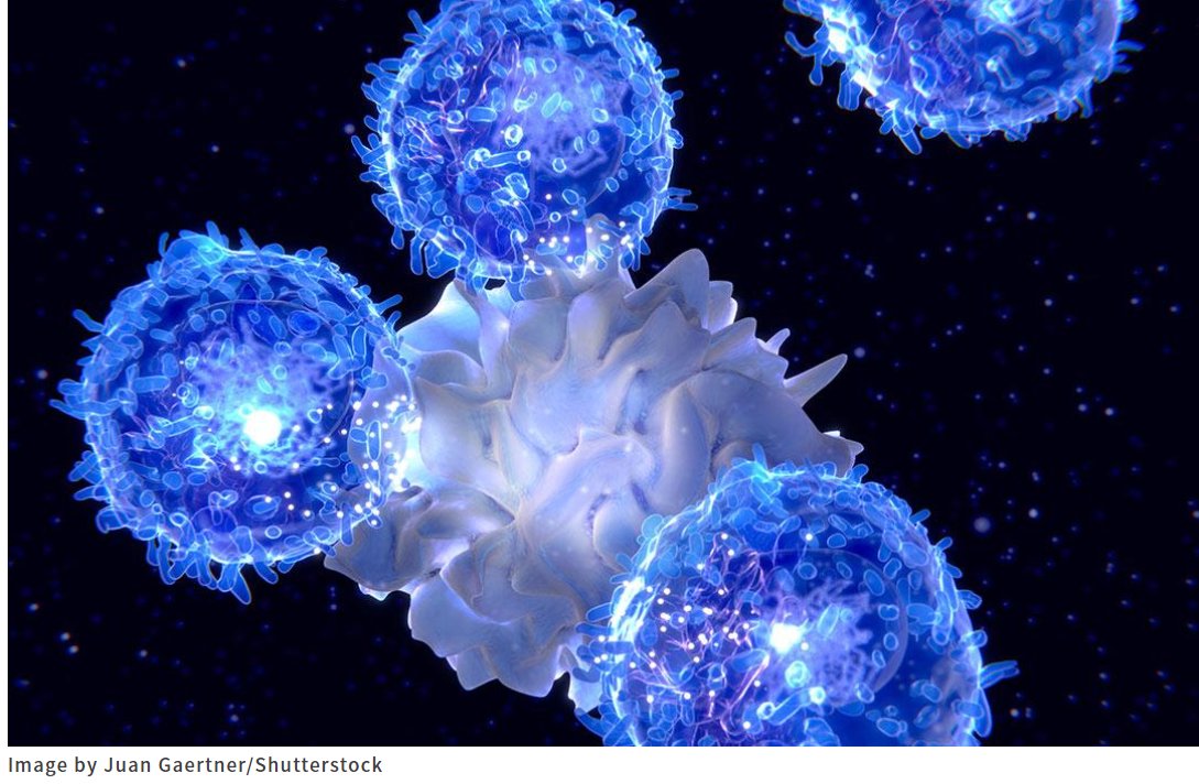 UNIV_TSUKUBA_EN's tweet photo. 【Medicine/Health】 Researchers Find How #ImmuneCells in the #TumorMicroenvironment Make Things Worse
Researchers have identified a mechanism that regulates immune cells' infiltration inside tumors and is linked to #tumor expansion.
https://t.co/RczdkQBSVW
#cancer #Treg #CD300a https://t.co/NuJ7PJWiVt