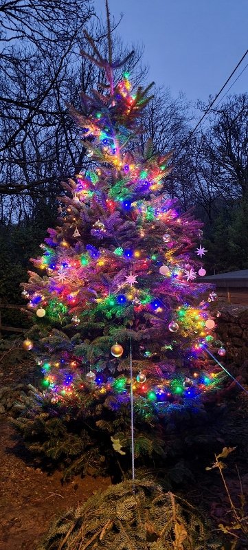 Ta da!  The lights are on at the Village Hall.  It looks like something out of a fairytale.

#Christmas #ChristmasLights #Xmas #xmastree #xmas2021 #Christmas2021 #ChristmasTree