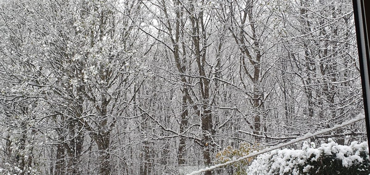 We wanted to share our #SnowScene with you, because we love the snow, even though it can be scary sometimes.  Can you see snow today?  Come on show us.  Happy Monday everyone

<a href="/TH_IASS/">Tower Hamlets & City SEND IASS</a> <a href="/OurTimeYF/">Our Time</a>