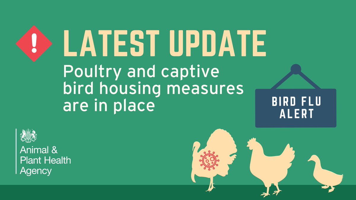 Housing measures to protect poultry &amp; captive birds from #AvianInfluenza are in force across the UK as of today (29 November 2021). This means you must keep your birds indoors away from wild birds. gov.uk/government/new… <a href="/BHWTOfficial/">British Hen Welfare Trust</a> <a href="/NFU_Poultry/">NFU Poultry</a> #Chickens #Ducks #BirdFlu