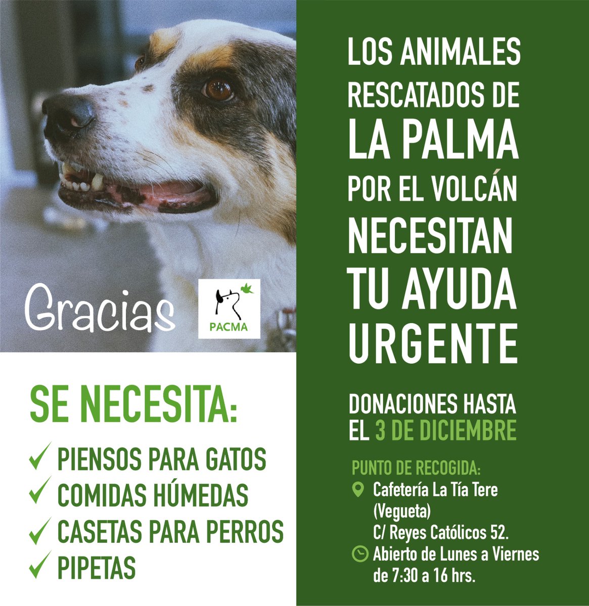 🆘 ¡Los animales y protectoras de La Palma necesitan urgentemente nuestra ayuda!
Estaremos recogiendo material en la Cafetería La Tía Tere, en Vegueta (Las Palmas de Gran Canaria), hasta el 3 de diciembre.
Toda ayuda es bienvenida. 🙏