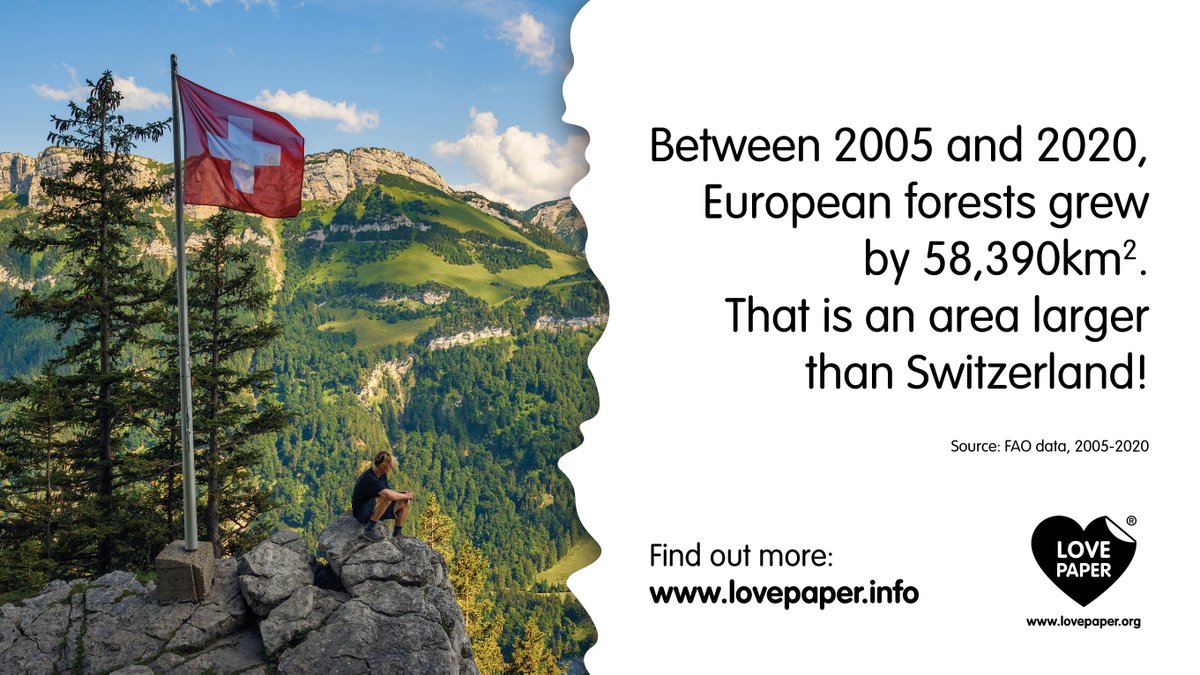 Love Paper tweet media