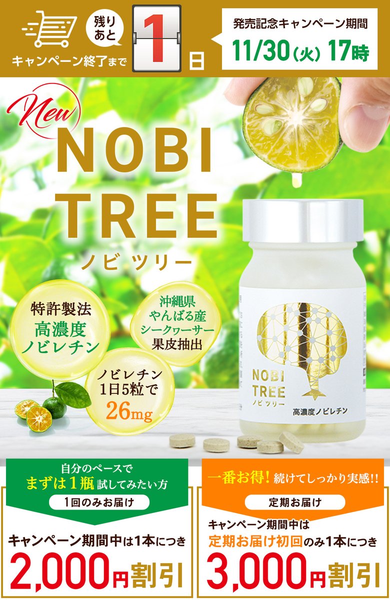 manju_tpr's tweet photo. ＼明日11月30日(火)まで！お得な発売記念キャンペーン中／大好評の��NOBI TREE（ノビツリー）』！認知症や生活習慣病の予防など様々な効果が注目を集める「ノビレチン」を錠剤サプリで効率的に摂取できます♪
https://t.co/fqdpg4MibW
#熱帯資源植物研究所  #ノビツリー #NOBITREE #ノビレチン https://t.co/3Rby74cpye