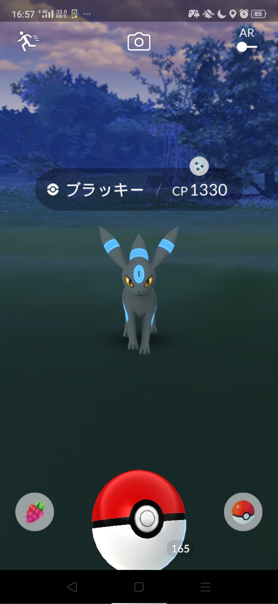 ブラッキー色違い Twitter Search Twitter