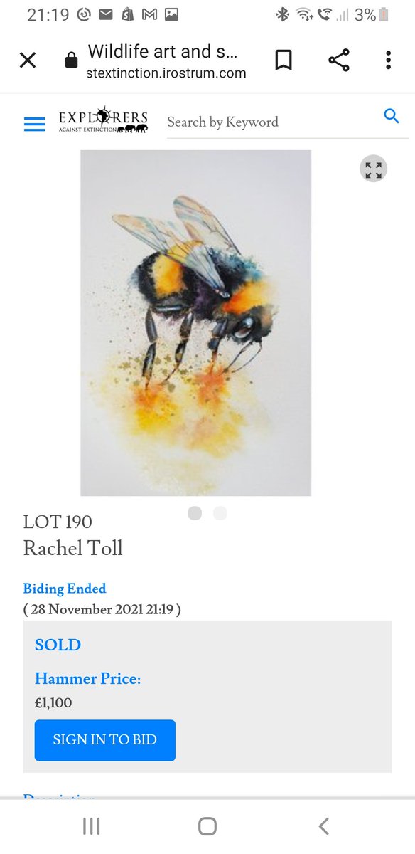 So thrilled my bee sold so well last night , and it will all go to help endangered wildlife.

@realafrica #sketchforsurvival #watercolour #bumblebee #bees #wildlife #savethebees #art #artist #devon #animalportrait #wildlifeartist #BigArtBoost #art #artist #painting #paint #bees