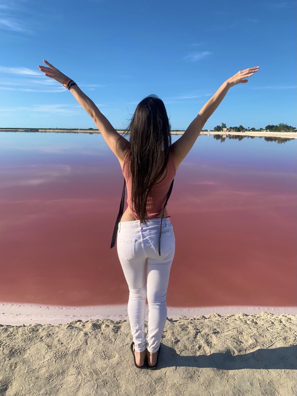 Ma Gabriela♥️ on X: #coloradas 📍 Yucatán t.coXpNvAGmxS5  X