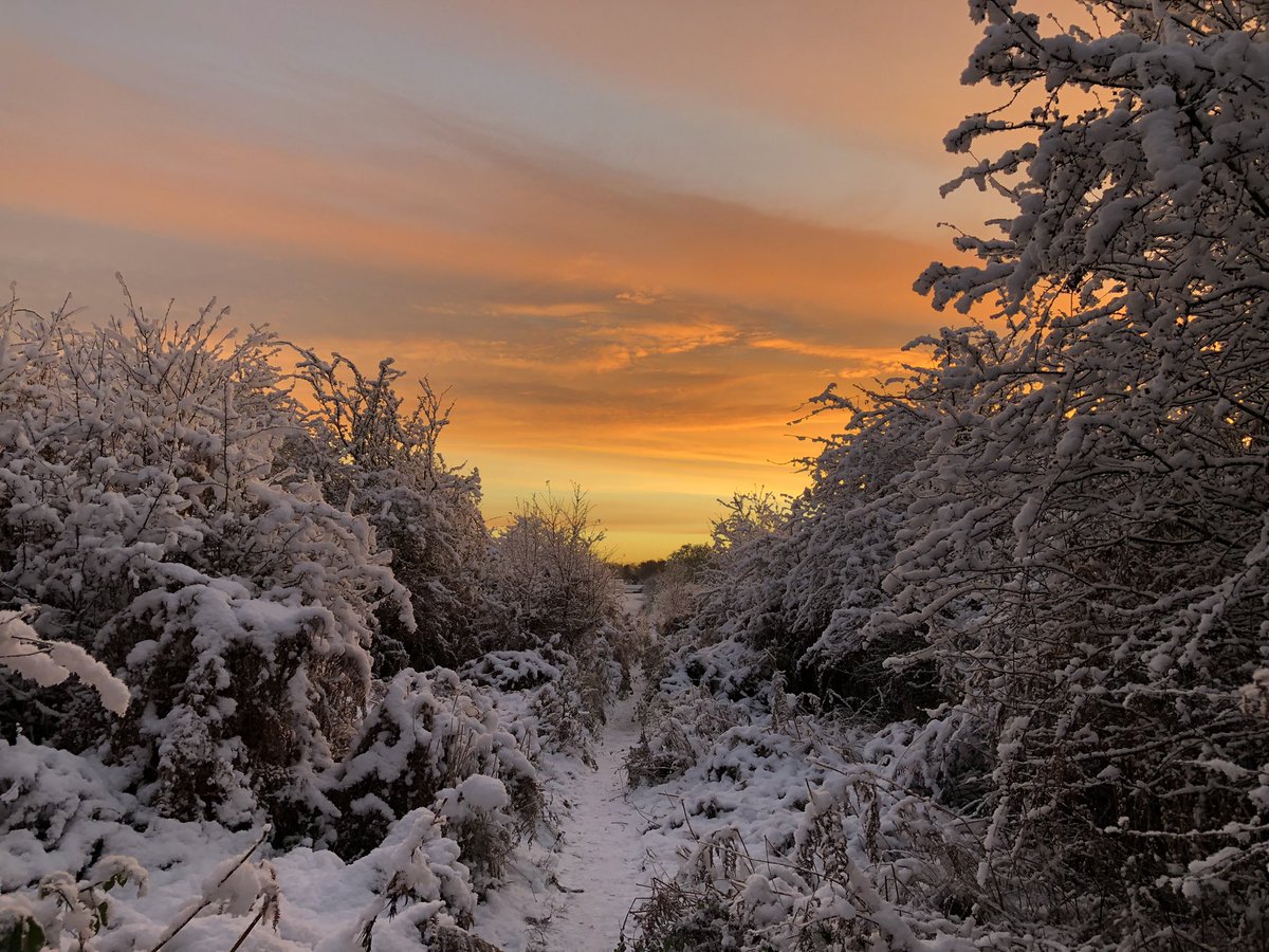 richnotts1's tweet photo. Cracking sky this morning on the dog walk πππ₯Ά βοΈ #notts #minus3 #mondaythoughts ππ» https://t.co/Fe9SKDi6NW