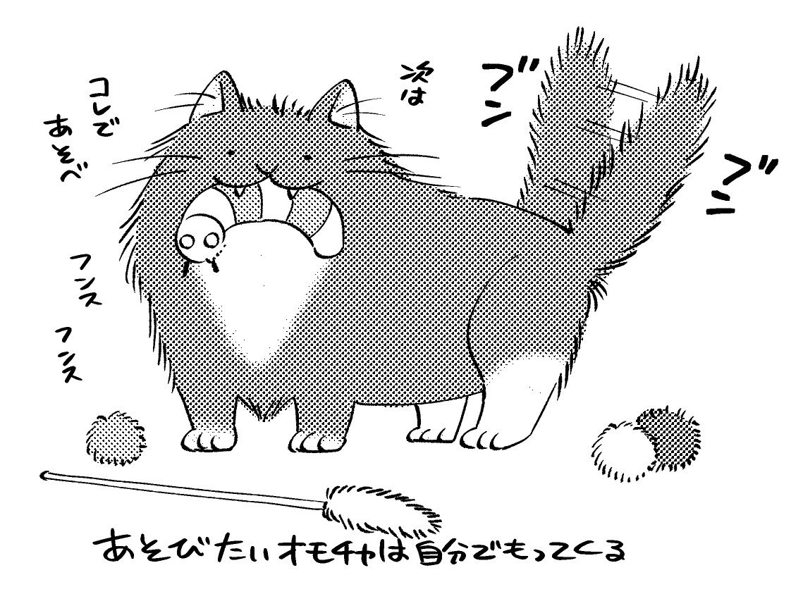 ネコとは? 