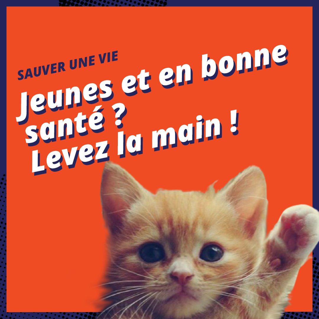 moelleosseuse's tweet photo. Les greffons des personnes jeunes permettant une prise de greffe plus rapide pour les patients 
+ Sachant qu'un donneur est contacté environ 8 ans après son inscription
= Plus on s’inscrit tôt, plus on a de chances d'aider un malade ! CQFD 🤓

#dondemoelleosseuse #sauverunevie https://t.co/5HyE5S4Ud6