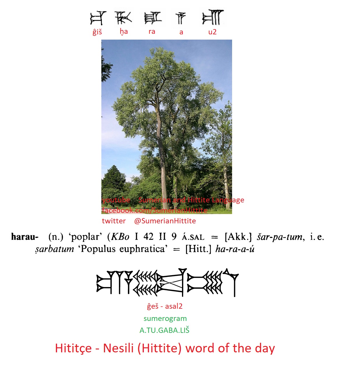 Sumerian Language Tree