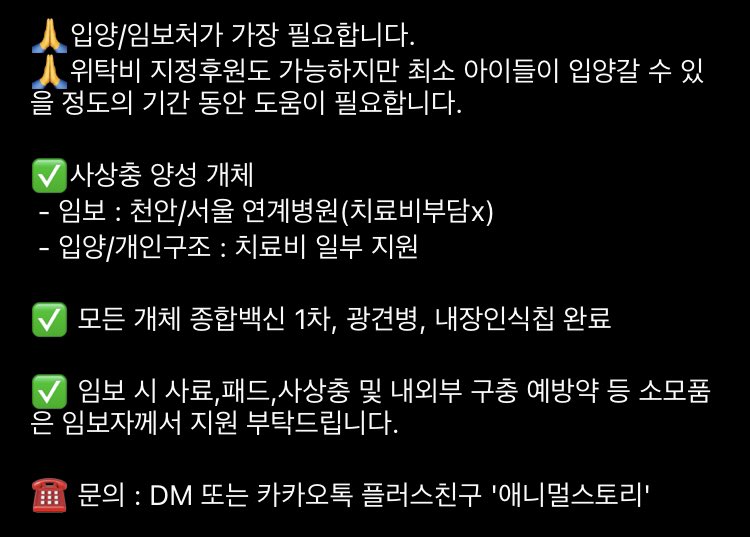 당장 내일모레부터 개체수 0마리 될때까지 안락사 시행한다고 합니다 남은 40여마리 임보처가 시급해요ㅜㅜ 조금이라도 퍼트려주세요 instagram.com/k_animalstory?…